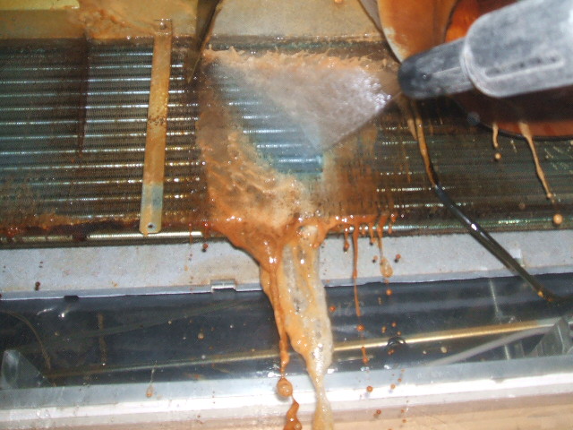 その咳、本当に風邪ですか?「家族の健康を守る」というプロの使命感